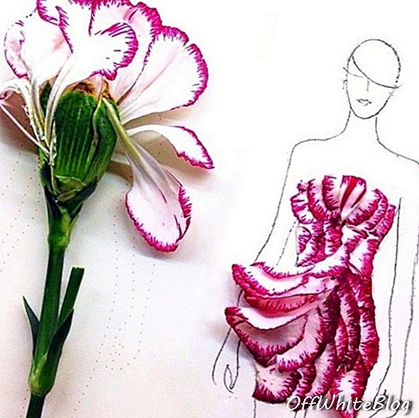 Mode-illustraties gemaakt van bloemblaadjes 1.