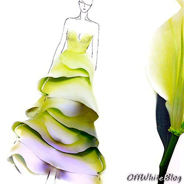 Mode-illustraties gemaakt van bloemblaadjes 2