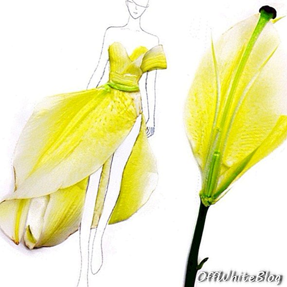 Mode-illustraties gemaakt van bloemblaadjes 4.