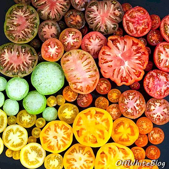 Foto's van kleurgecodeerd voedsel en planten door Emily Blincoe 3