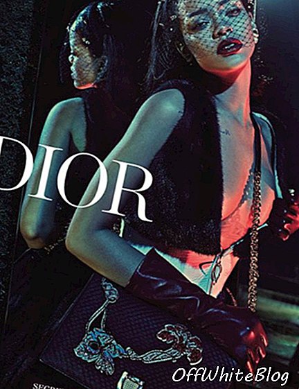 แคมเปญ Rihanna Christian Dior Secret Garden