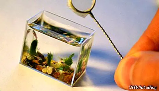 maailma väikseim akvaarium
