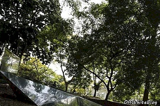 Углы падения Сингапурский ботанический сад 3
