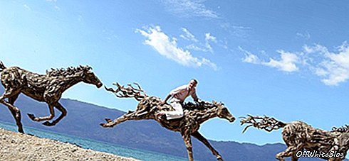 Dalgaların karaya attığı odun heykeller atlar James Doran Webb 7