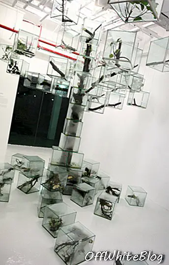 Instalācijas skats no “Kokiem” 8Q, Singapūras Mākslas muzejā