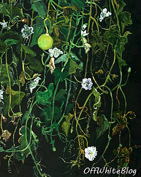 Helene Schmitz, „Untitled 3 (series Sunken gardens)“, 2016, foto C-print. Obrázek s laskavým svolením Helene Schmitz & Galerie Maria Lund.