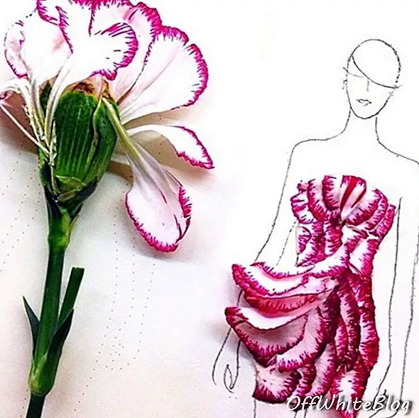 Illustrations de mode faites de pétales de fleurs 1.