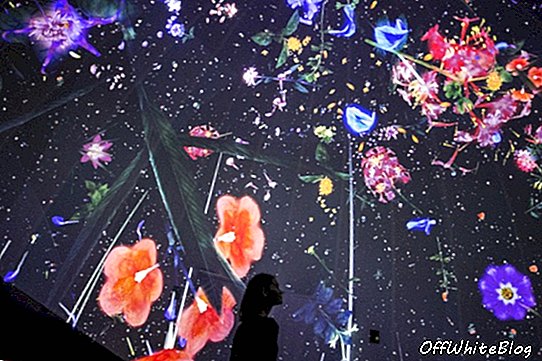 'Story of the Forest' oleh teamLab
