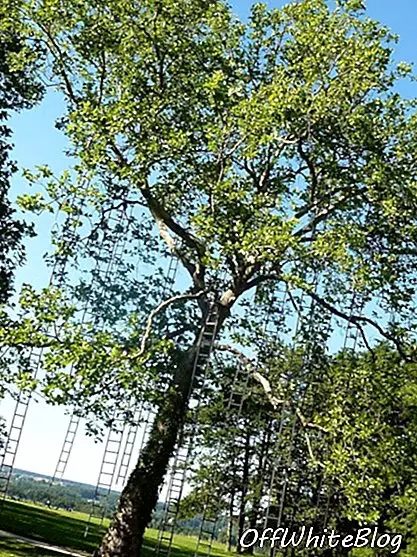 Rebríky strom 1