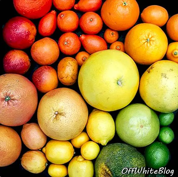 Emīlijas Blinkones fotoattēli ar krāsainu pārtiku un augiem 10