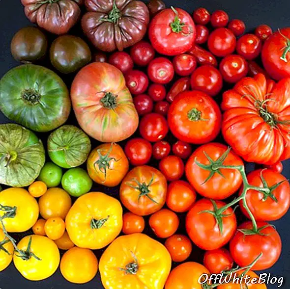 Emily Blincoe nuotraukos su spalvotais maisto produktais ir augalais 2