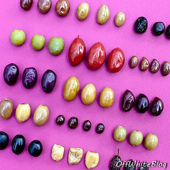 Photographies d'aliments et de plantes à code couleur par Emily Blincoe 6