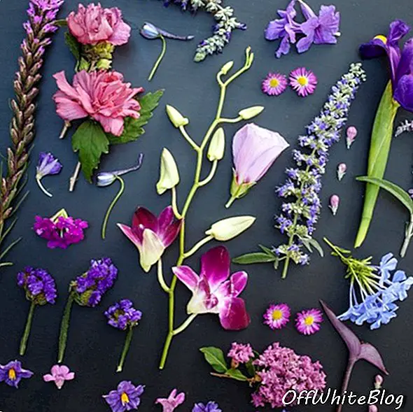 Emīlijas Blinkones fotoattēli ar krāsainu pārtiku un augiem 7