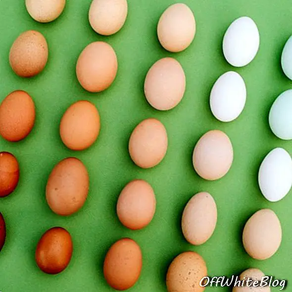 Emīlijas Blinkones fotoattēli ar krāsainu pārtiku un augiem 9