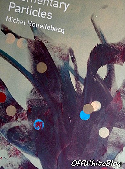 Heman CHONG, Alkuainehiukkaset  Michel Houellebecq, 2013, akryyli kankaalle, 61 x 46 x 3,5 cm