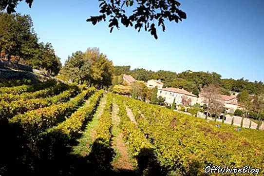 Chateau Miraval vingård