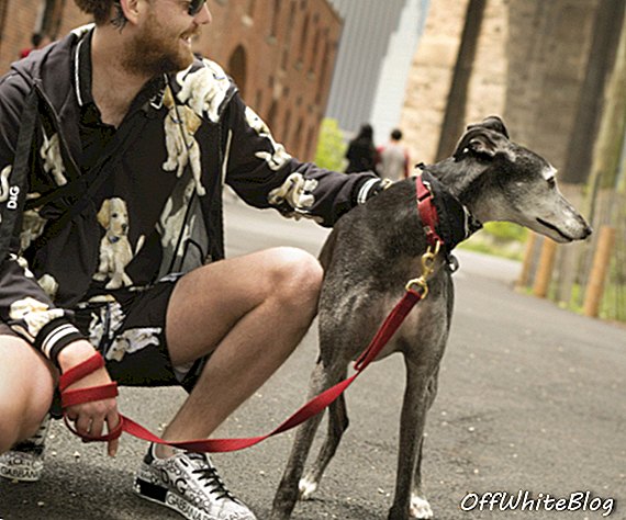 Dolce & Gabbana: Špeciálna zbierka, ktorá uvedie rok psa