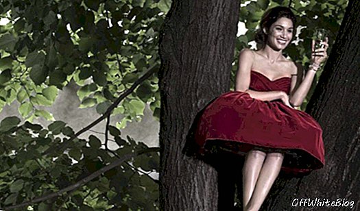 Oglejte si: Arborea, modni film Dolce & Gabbana