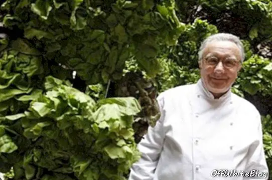 Chef francés Alain Ducasse