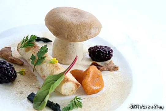 Cogumelos e foie gras