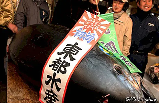 Gigantische tonijn wordt in Japan voor een recordbedrag van 396.000 dollar verkocht