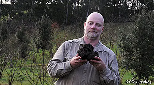 Didžiausias juodasis triufelis rastas Viktorijoje, Australijoje