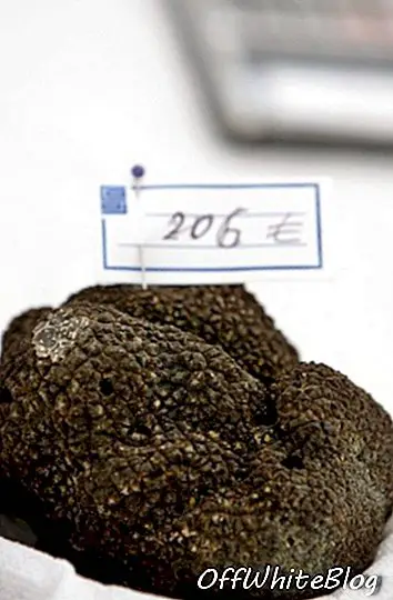 truffle hitam Perigord