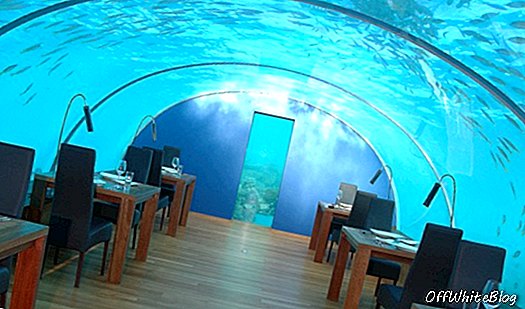 Ithaa: restoran bawah laut