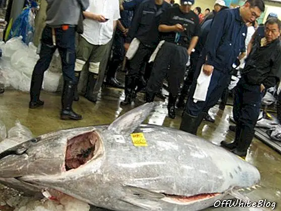 ญี่ปุ่นที่หิวโหยซูชิขายปลาทูน่าที่ใหญ่ที่สุด