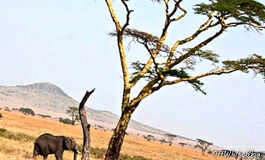 Yksityinen retkikunta Tansania