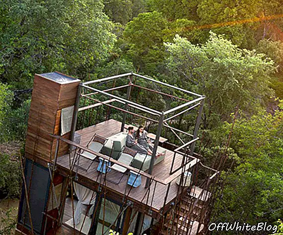 Cabane dans les arbres de 30 pieds de haut en Ngala en Afrique du Sud par andBeyond