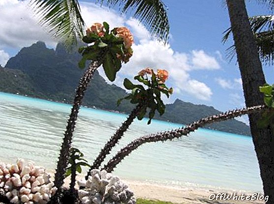 Bora Bora erakuurort nõuab 5,5 miljonit dollarit