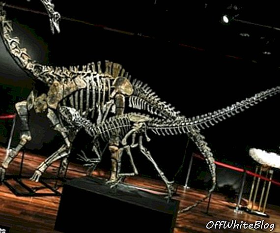 Gli scheletri di dinosauri sono gli ultimi must-have per la tua casa