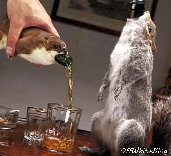 Cea mai puternică bere din lume servită într-o veveriță moartă
