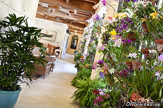Orchid Alley loggia