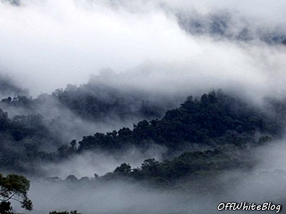 Maquipucuna debesų miškas
