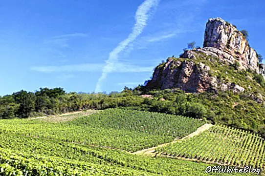 Bourgogne vin