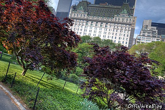 Central Park öppnar hemlig trädgård igen