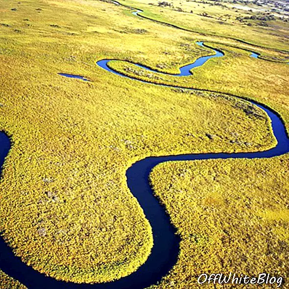 Okavangodeltaet