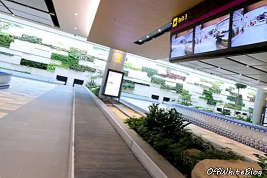 새로운 창이 공항 제 4 터미널 입국장의 벽에서 녹지에 대항하여 자연 채광을 즐기십시오.