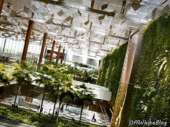 verticale tuin en groene muur op de luchthaven van singapore