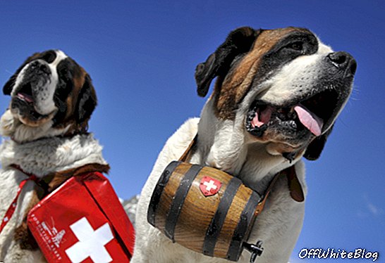 Šveitsi suusakeskus keelab selfisid ikooniliste Saint Bernarditega