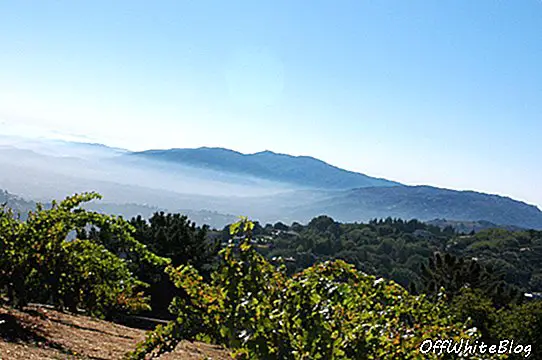 Le vignoble de Monte Bello