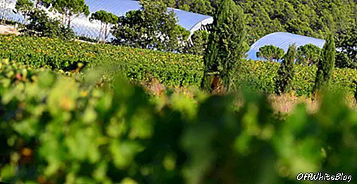 Château La Coste: Vinho Contemporâneo