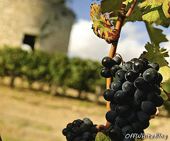 Китайські покупці французьких виноградників несуть гнів бордоських виробників