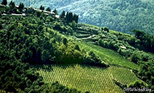 „Chianti“ po 300 metų nuolat auga
