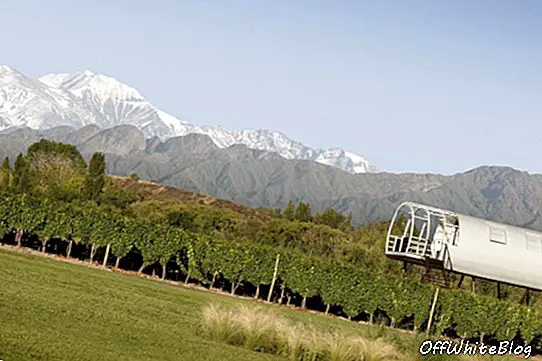Аргентинске винарије се за опстанак окрећу врхунским винима