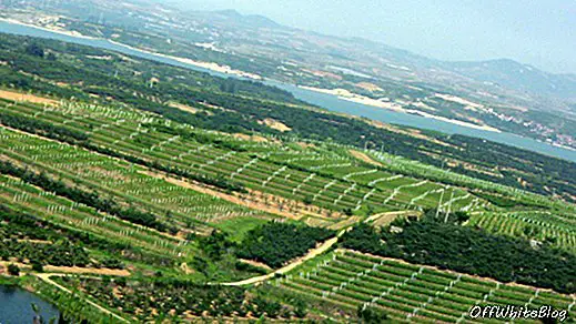 Hiinas on maailmas suuruselt teine ​​viinamarjakasvatuspiirkond